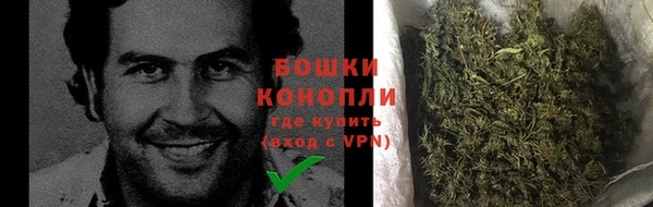 PSILOCYBIN Михайлов