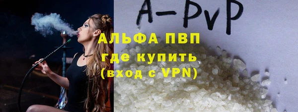 PSILOCYBIN Михайлов