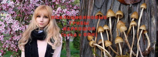 прущая мука Михайловск