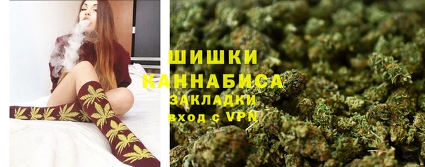 PSILOCYBIN Михайлов