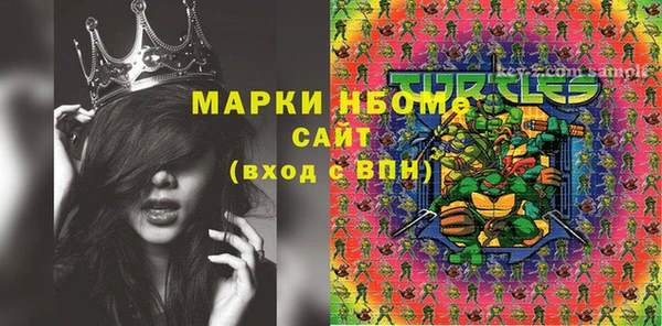PSILOCYBIN Михайлов
