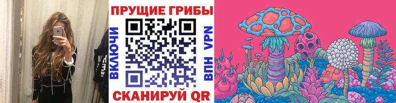 Псилоцибиновые грибы Cubensis Новопавловск