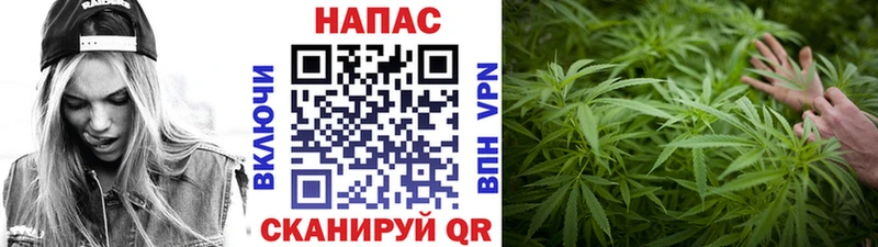 магазин продажи наркотиков Новопавловск кракен сайт Марихуана Amnesia